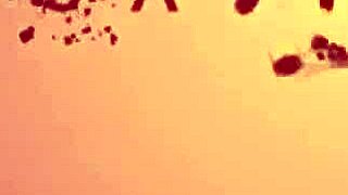 big cock dude rips savannah watson's stepsister tight asshole apart