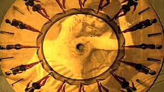 vintage erotic hairy beaver closeups in retro art style