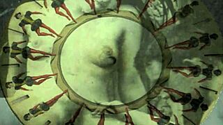 vintage erotic hairy beaver closeups in retro art style