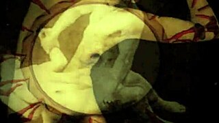 Vintage Erotic Drawings Reveal Antique Sensual Poses and Curves