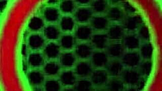 coach macana man destroys nina kayy's intramuscular pawg pussy stretching breeding her wide