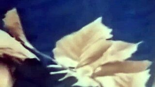 Desi village wife takes hard pounding deep in her black pussy on viral clip