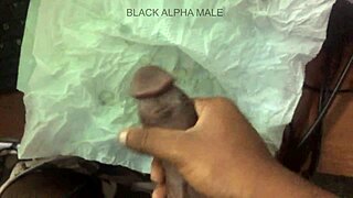 just got out of jail and she needs that solo release now...