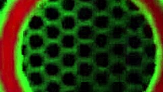 bbc bull prince bends over big tit milf for rough pussy and ass pounding