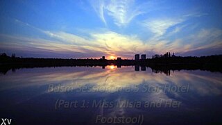 BDSM hotel domination whips slave teases cock humiliating femdom feet obsession