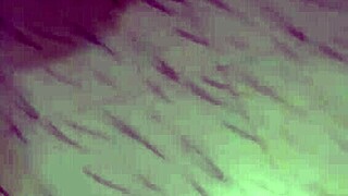 Newlywed bhabhi sneaks devar dick ride in secret