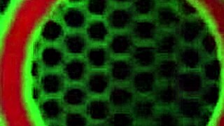 Harlow Harrison and Rome Major turn up the heat in this double slut threesome action 😈🍑💦 whoa that's intense!!