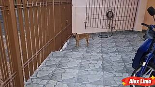 o marido viajou e a mary me chamou pra consertar moto mas queria meter na buceta e no cu da safada com meu pauzão