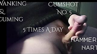 hammer hart wanks his monster cock so close up homemade 😩🍆💦 german moans