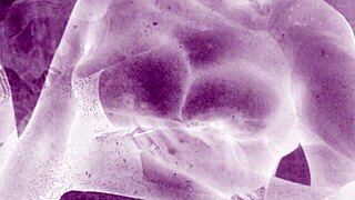 vintage erotic art explodes with raw passion and forbidden desires!