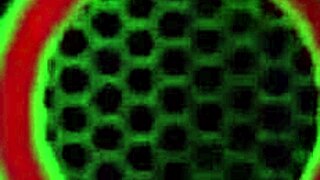 my heart races watching her big tits bounce in rough doggystyle with cumshot finish