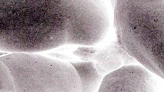 vintage erotic art explodes with raw passion and forbidden desires!