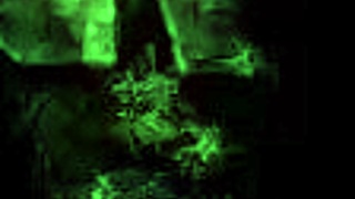 Vintage Erotic Art Uncovered Raw Antique Scenes