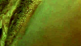 ebony milf shoves toys deep in big butt begging for black cock action