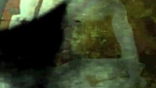 vintage hairy erotic scenes tease retro desires