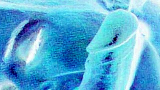 Vintage Erotic Art Teases Retro Antique Desires