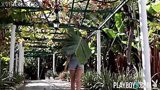 ever seen hotter brunette milfs stripping and teasing?