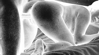 vintage hairy erotic scenes tease retro desires