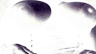 vintage hairy erotic scenes tease retro desires