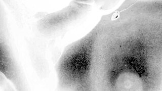 Vintage Erotic Art Teases Retro Antique Desires