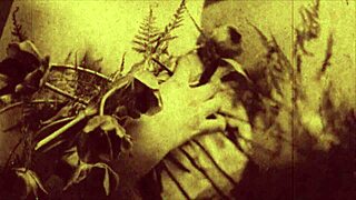 Explore this vintage erotic art collection in antique retro style