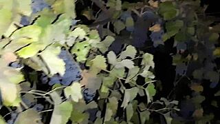 brought club stranger home fucked her flying orgasm