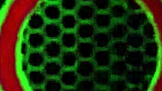 harmonie marquis big tits milf licks mature pussy lips and huge clit