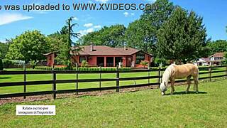 ranch compadres erotic tale audio gets me so wet 😏🔥