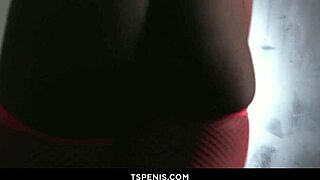 seductive shemale vanniall strokes her monster cock in fishnet lingerie and stockings solo