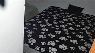 Hey landlord, watch this hot stepsis ride your cock with her huge tits bouncing