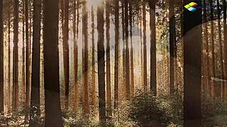 i took stripper slut home she gave juicy pussy doggystyle creampie moanin wild subscribe