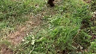 18+ blonde teen slut takes hard anal from three monster cocks