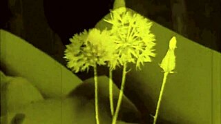 Vintage Hairy Pussy Drawings Exposed!