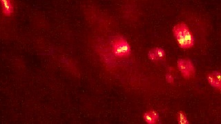 dang this white girl is super hot 🔥😍