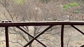 Blonde Gets Anal Fucked in Forest with Cumshot!