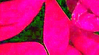 small nympho screams and moans during deep chats and penetration