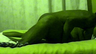 thick yellow thighs get pounded doggy then missionary with cum 😍🍑