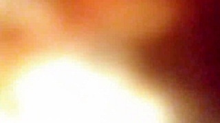 bbc bull eats my pussy so good then creampies me twice