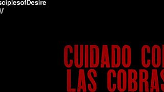 Clea gaultier versus los cobras