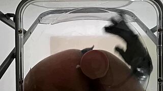 Pov dirty talk fat ass femboy facesits and takes anal creampie after riding dildo