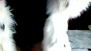 a mature whore sucks husbands dick after webcam sessions