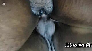 POV חבטות אחוריות על כוס שחורה קרמית שיעירה של מרה אקזוטיק