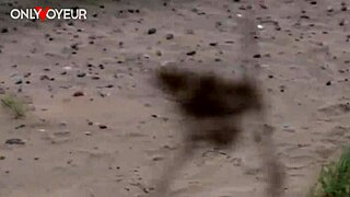 T'as déjà maté un jeune couple 18+ se branler mutuellement sur la plage en mode chaud ?